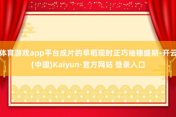 体育游戏app平台成片的早稻现时正巧抽穗盛期-开云(中国)Kaiyun·官方网站 登录入口