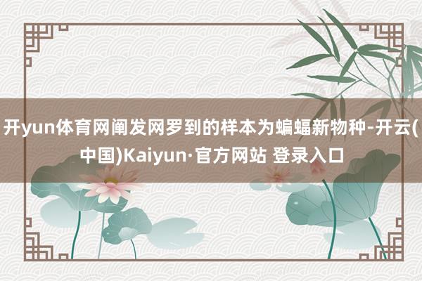 开yun体育网阐发网罗到的样本为蝙蝠新物种-开云(中国)Kaiyun·官方网站 登录入口