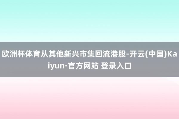 欧洲杯体育从其他新兴市集回流港股-开云(中国)Kaiyun·官方网站 登录入口
